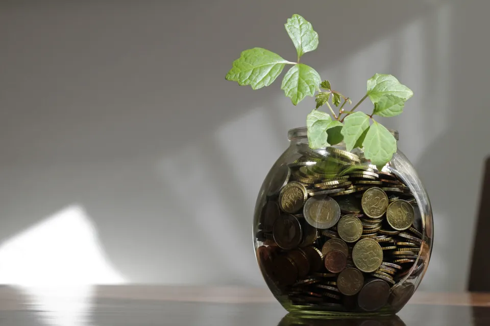 savings emergency fund.jpeg